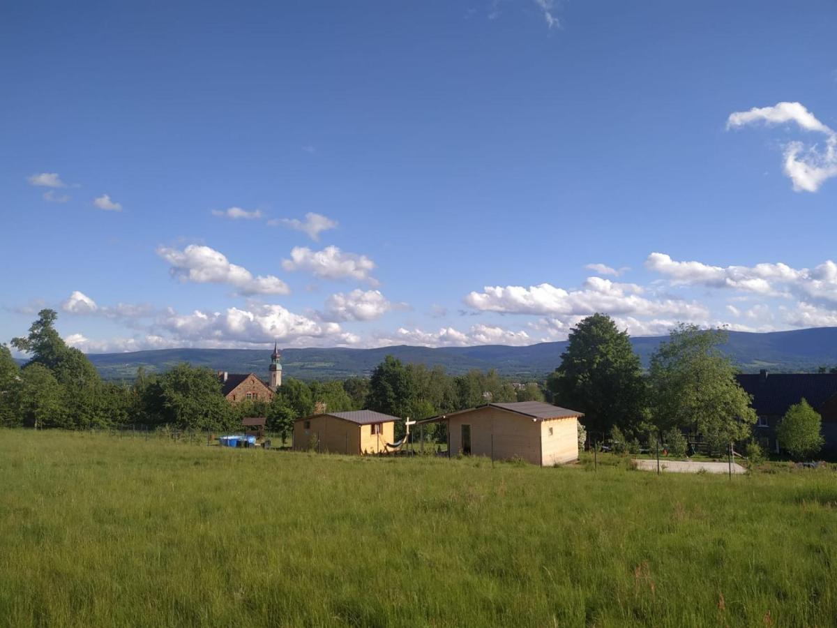 Domek W Gorach Izerskich 4 I 6 Osobowy, Agroturystyka, Zywe Zwierzeta, W Pelni Wyposazone, Plac Zabaw Dla Dzieci, Ognisko Z Kijkami I Rusztem, Ogrzewanie I Klimatyzacja, Latem Basen Mirsk Экстерьер фото