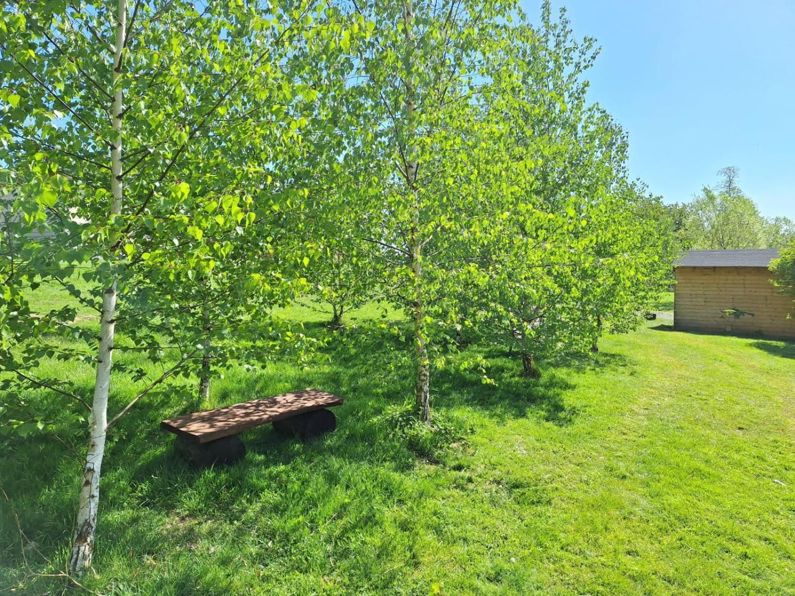 Domek W Gorach Izerskich 4 I 6 Osobowy, Agroturystyka, Zywe Zwierzeta, W Pelni Wyposazone, Plac Zabaw Dla Dzieci, Ognisko Z Kijkami I Rusztem, Ogrzewanie I Klimatyzacja, Latem Basen Mirsk Экстерьер фото